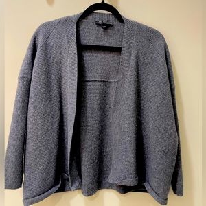 Wool Ann Taylor sweater